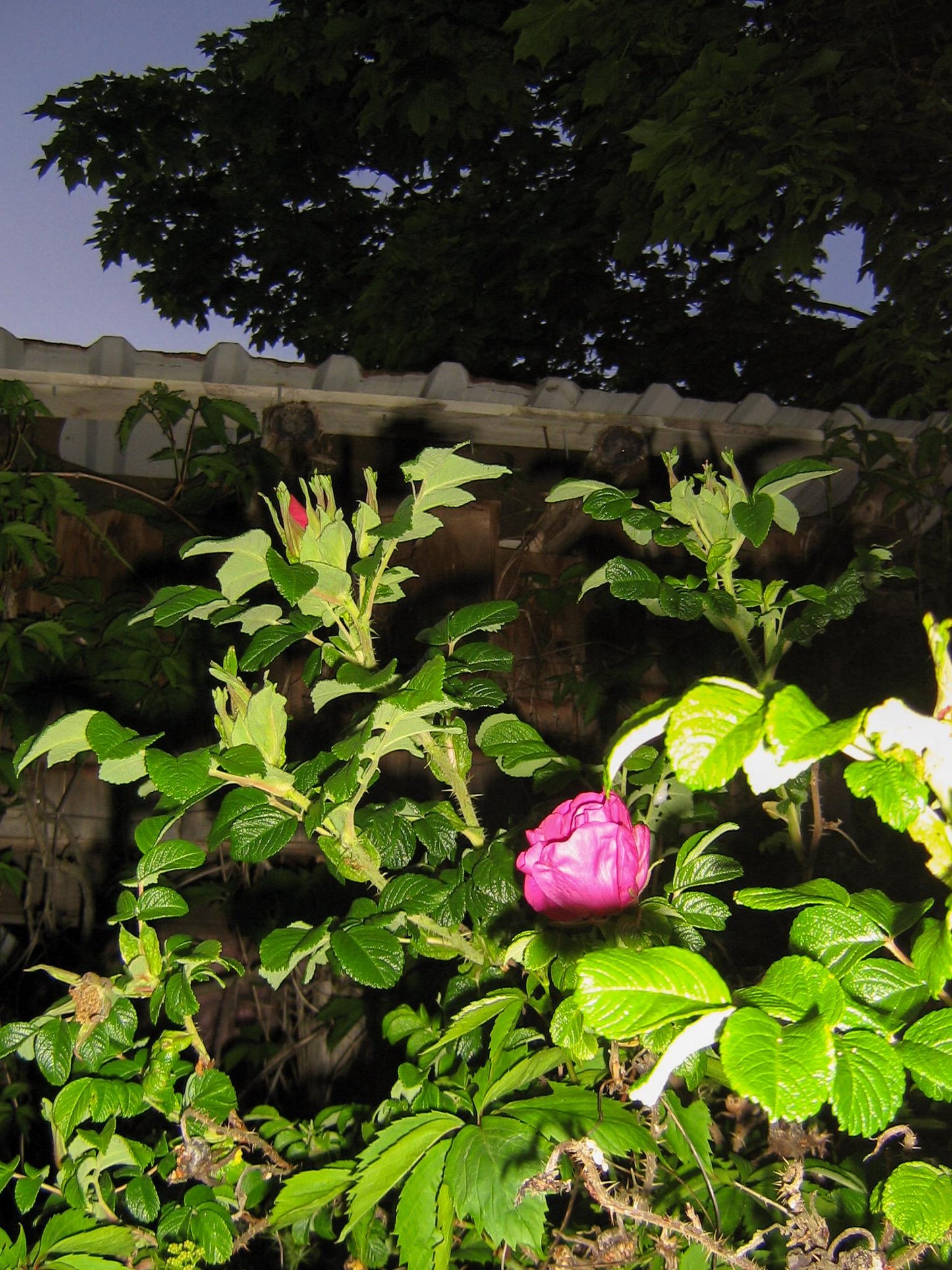 Canon Poweshot A410 Cute Y2k Aesthetic decorated digital camera, has flaw! READ DESCRIPTION PreOwned