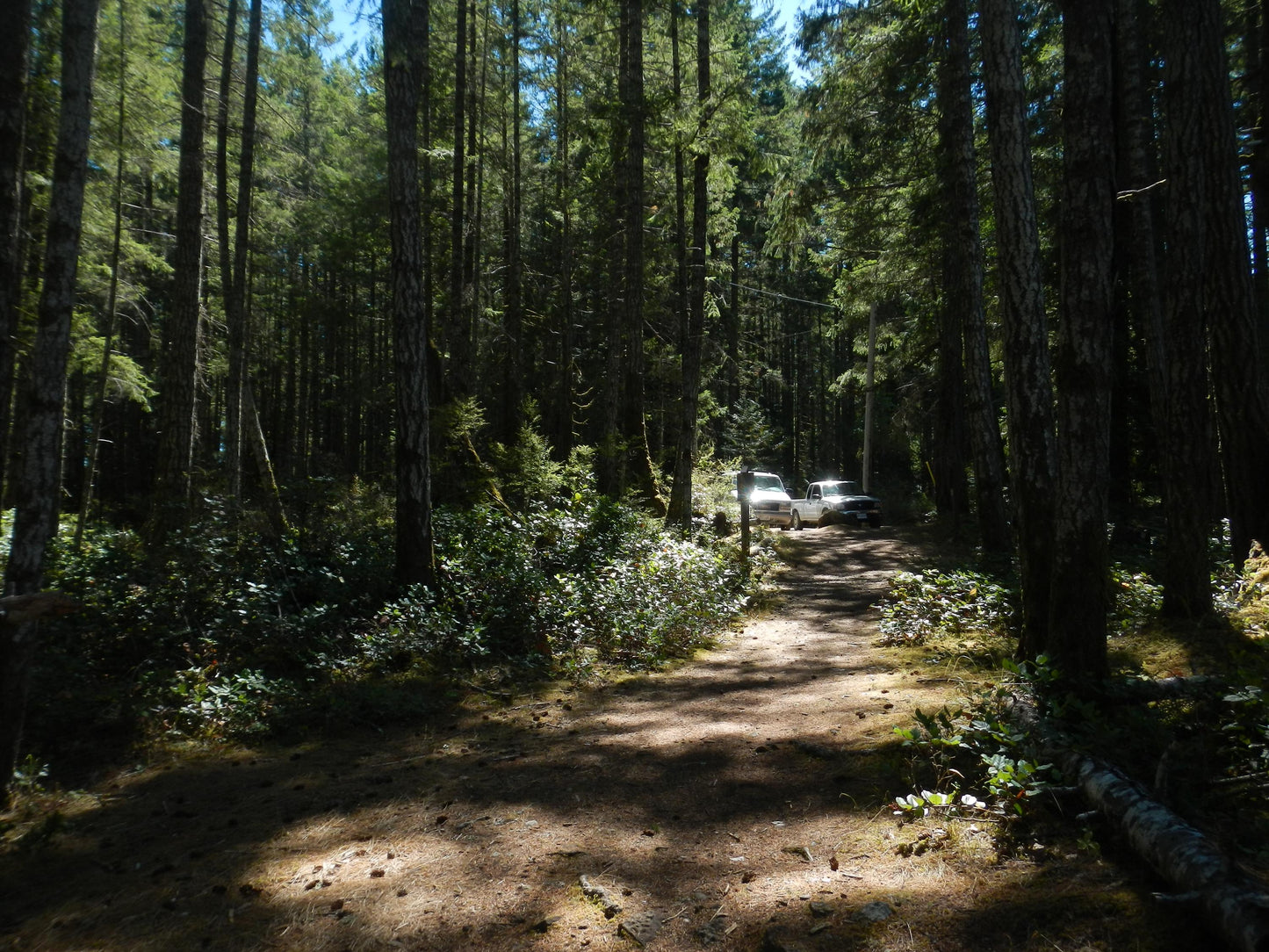 Cute y2k aesthetic digicam Nikon Coolpix AW 100 waterproof camera with beaded strap PreOwned