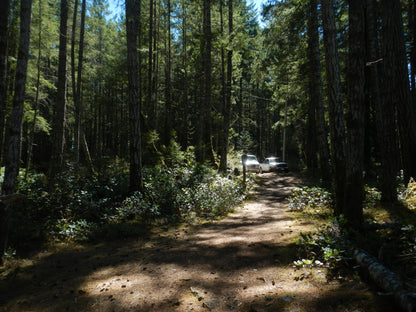 Cute y2k aesthetic digicam Nikon Coolpix AW 100 waterproof camera with beaded strap PreOwned