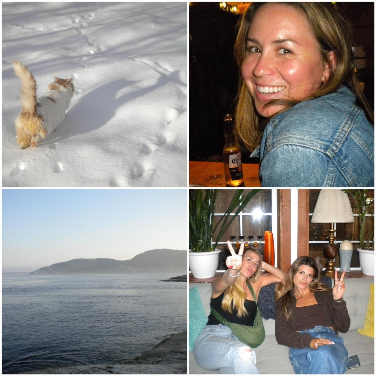 Pre-Owend Nikon Coolpix S220 Plum Digital Camera