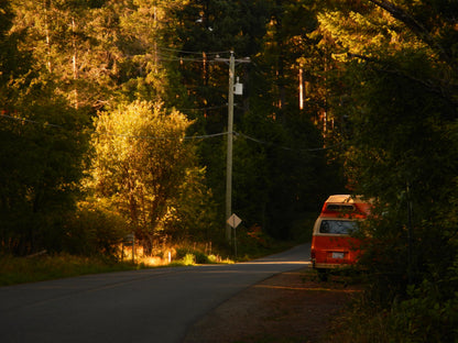 Cute y2k aesthetic digicam Nikon Coolpix AW 100 waterproof camera with beaded strap PreOwned