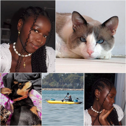 Pre-Owend Nikon Coolpix L810 Digital Camera